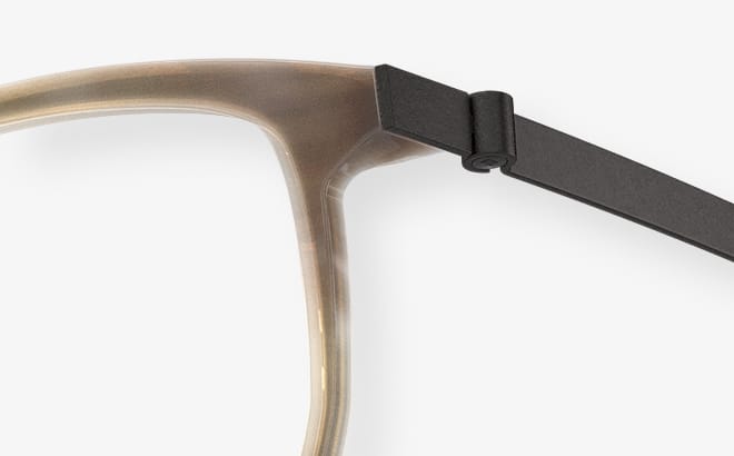 Detail of a LINDBERG buffalo titanium frame