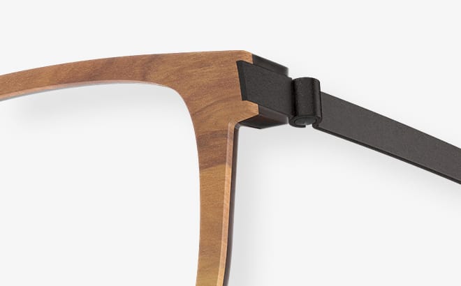 Detail of a LINDBERG trae+buffalo titanium frame