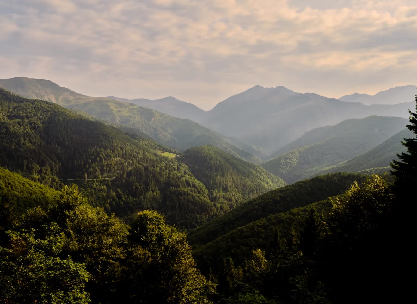 The hills of Oasi Zegna under a summer sky