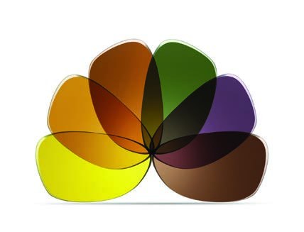 A fan of HOYA Special tints in yellow, orange and brown